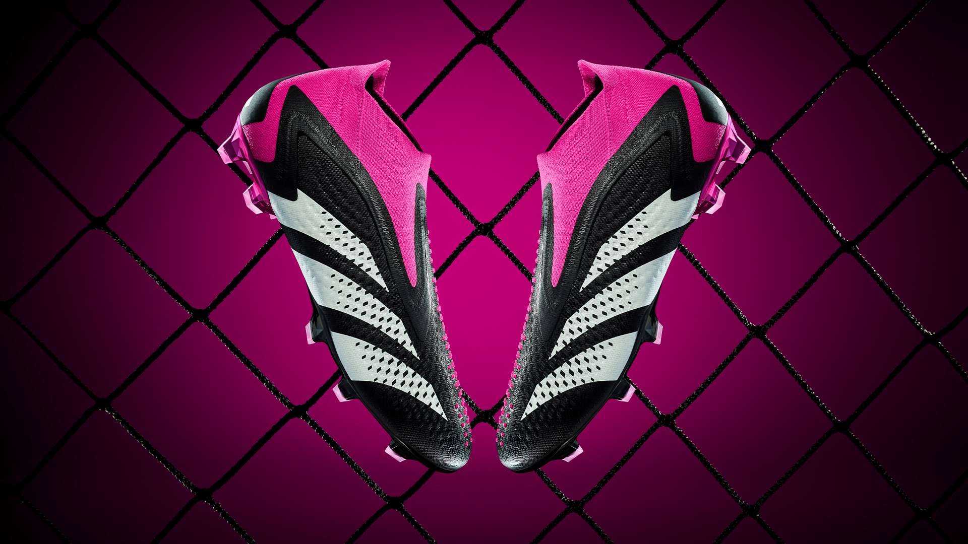 他的到来为 他的到来为